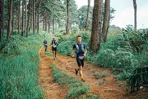 BIB: 
                            <button type="button" onclick="openModal(25658595)" class="btn btn-primary btn-sm float-right btn-popup" data-toggle="modal" data-target=".modal-high-quality">
                        <i class="fas fa-shopping-cart"></i> Add to Cart
                    </button>
                                            <button type="button" onclick="isThisMe(25658595, true)" class="btn btn-success btn-sm float-right btn-popup btn-isme hidden" data-toggle="tooltip" data-placement="bottom" title="นี่คือรูปของคุณใช่ไหม คลิกที่นี่เพื่อเอาเข้าอัลบั้ม">
                        <i class="fas fa-plus"></i> Add to album
                    </button>
                    <button type="button" onclick="isThisMe(25658595, false)" class="btn btn-warning btn-sm float-right btn-popup btn-isnotme hidden">
                        <i class="fas fa-ban"></i> Remove from album
                    </button>